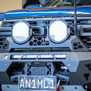 Rally Hoop to Suit Predator Bars to Suit Offroad Animal 9 inch Arse Kicker Lights